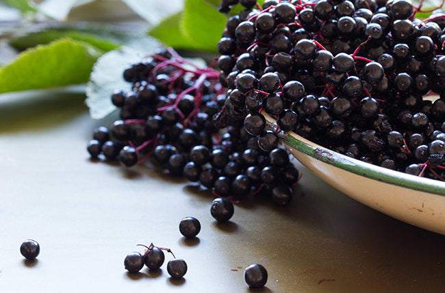 Elderberries & Their Benefits